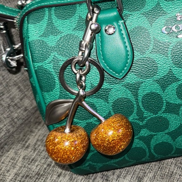 🍒Various Cherry Charms *Bag Not Included - Picture 14 of 15